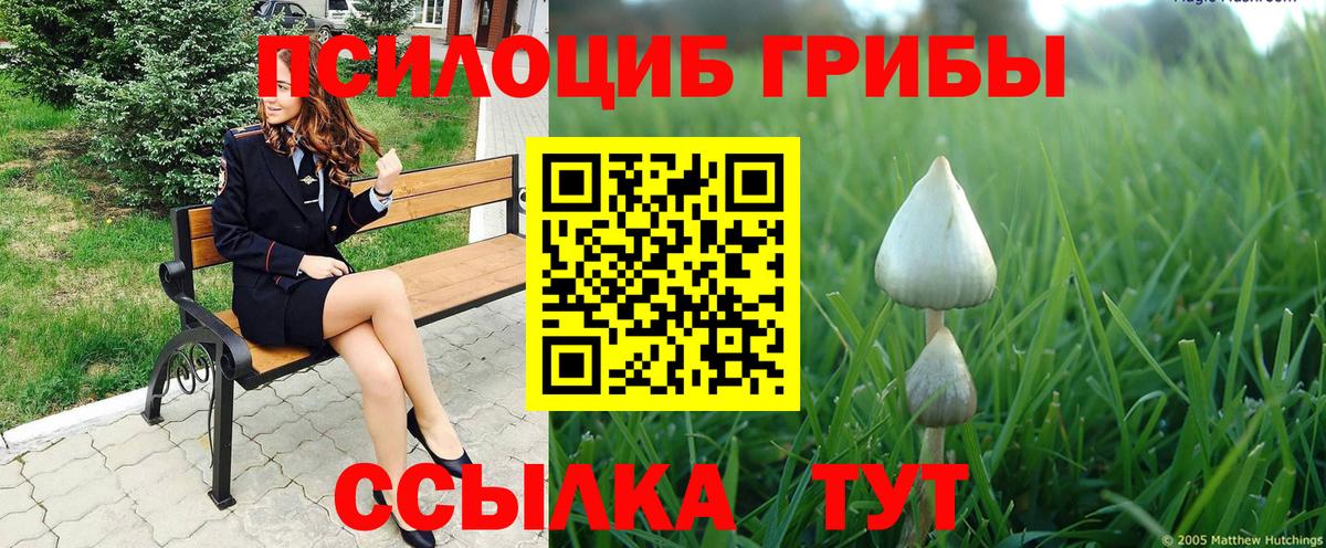 Галлюциногенные грибы Cubensis  Вход с VPN  Саров 